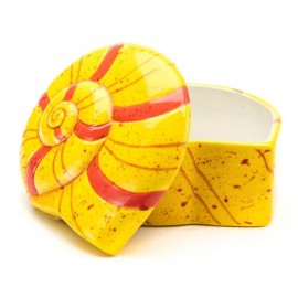 Nautilus Shell Box Nautilus Shell Box