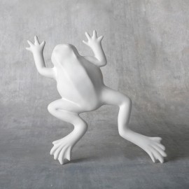 Wall Frog  - Case of 6 Wall Frog  - Case of 6
