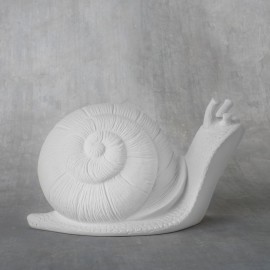 Garden Snail Garden Snail