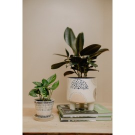 Footed Planter - Case of 4 Footed Planter - Case of 4