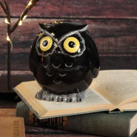 Tot Hoot Bank Tot Hoot Bank