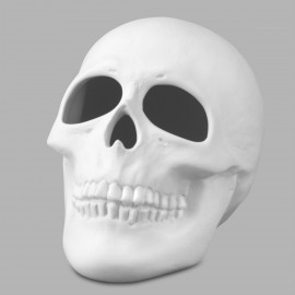 Ceramic Bisque Skull - Case of 6 Ceramic Bisque Skull - Case of 6