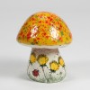 Rocks and Mushrooms (By the Case)