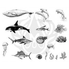 Sea Life 2 Designer Silk Screen Sea Life 2 Designer Silk Screen