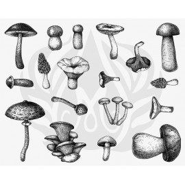 Mushrooms Designer Silk Screen Mushrooms Designer Silk Screen