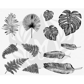 Tropical Leaves Designer Silk Screen Tropical Leaves Designer Silk Screen