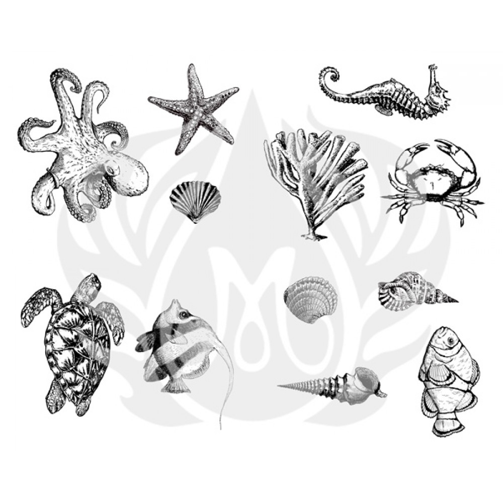 Sea Life - Designer Silk Screen Sea Life - Designer Silk Screen