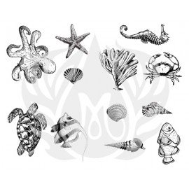 Sea Life - Designer Silk Screen Sea Life - Designer Silk Screen