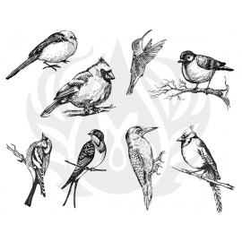 Aviary Small Birds - Designer Silk Screen Aviary Small Birds - Designer Silk Screen