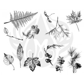 Botanical - Leaves Designer Silk Screen Botanical - Leaves Designer Silk Screen
