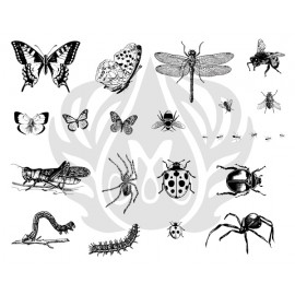 Bugs Designer Silk Screen Bugs Designer Silk Screen