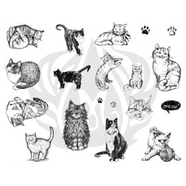 Cats Designer Silk Screen Cats Designer Silk Screen