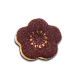 Aubergine Shino Glaze by Spectrum Aubergine Shino Glaze by Spectrum