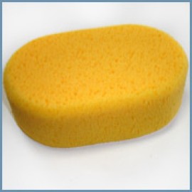 Large Oval Synthetic Sponge
