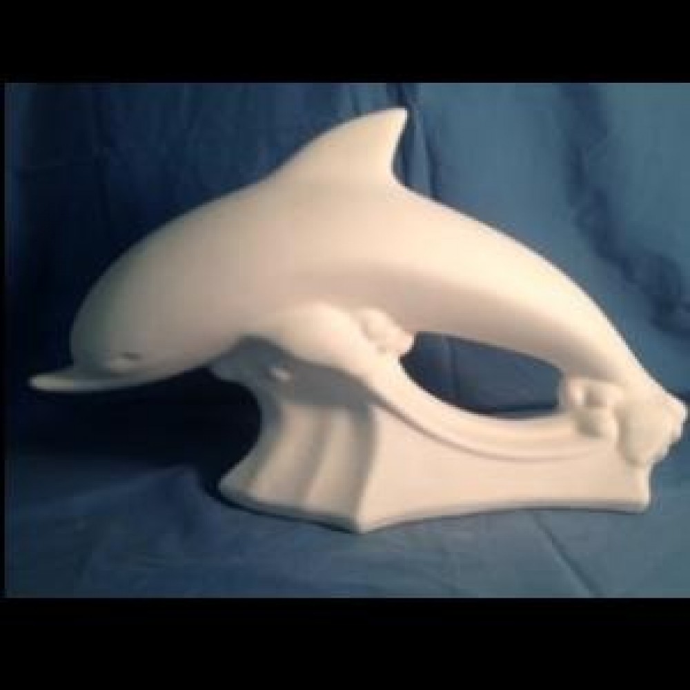 Lg. Dolphin