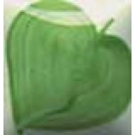 LEAF GREEN - 1oz Duncan E-Z Stroke Under-Glaze LEAF GREEN - 1oz Duncan E-Z Stroke Under-Glaze