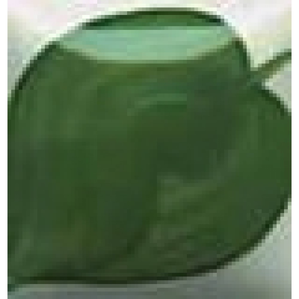 IVY GREEN - 1oz Duncan E-Z Stroke Under-Glaze