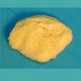 Silk Sponge 2 - 2-1/2