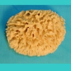 Wool Sponge 4 - 4-1/2