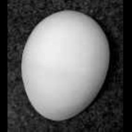 Pear Shaped Hump for Clay Building