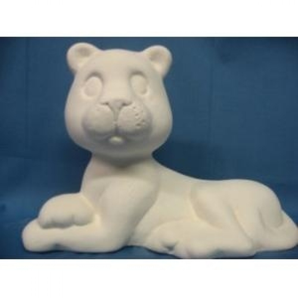 Cute Lioness